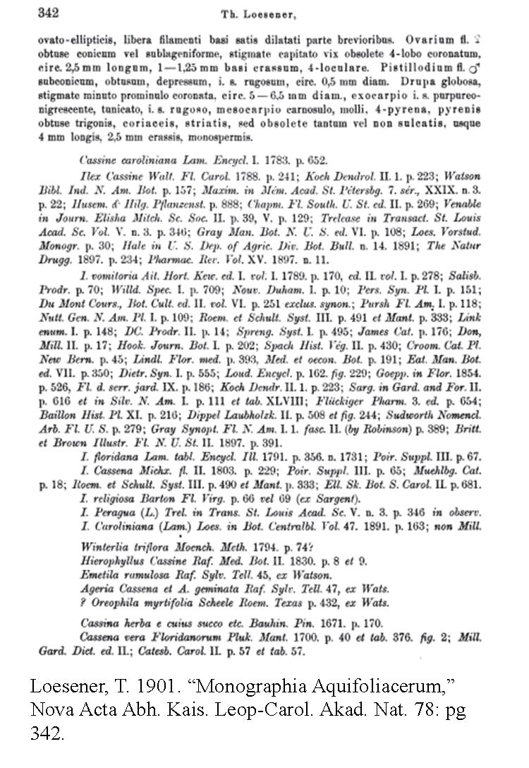 monographia_aquifoliacearum_1901_pg-342